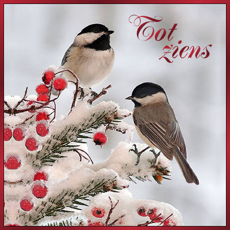 winter+vogels+tz (1…